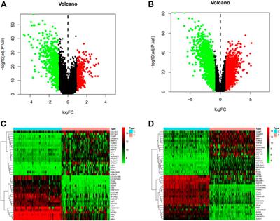 To explore the effect of kaempferol on non-small cell lung cancer based on network pharmacology and molecular docking